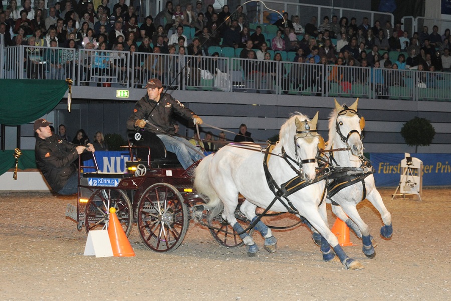 馬展，德國(guó)馬展，馬匹比賽
