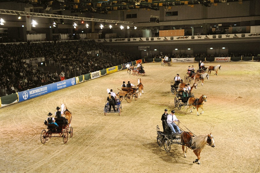 馬展，德國(guó)馬展，馬匹比賽